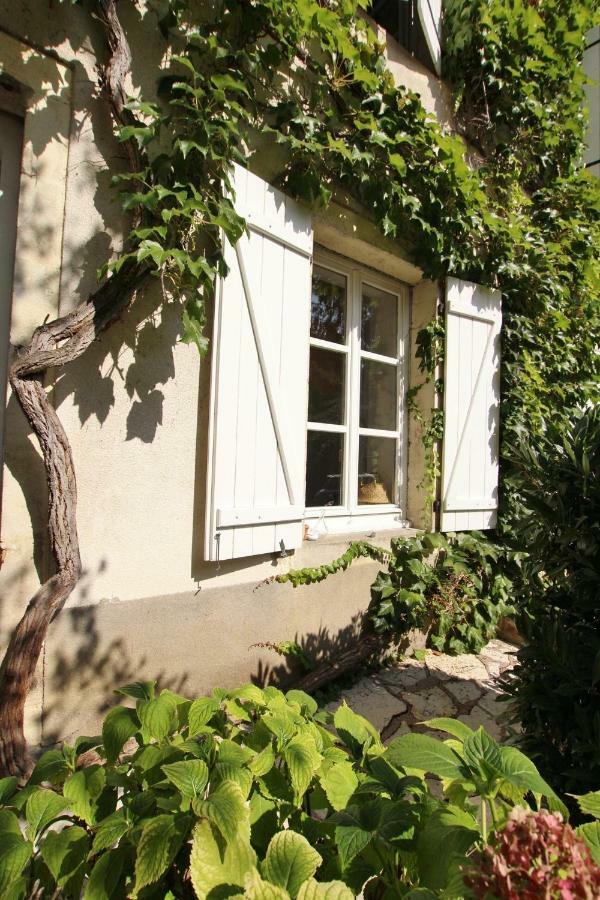 Villa Saint-Georges فيزول المظهر الخارجي الصورة